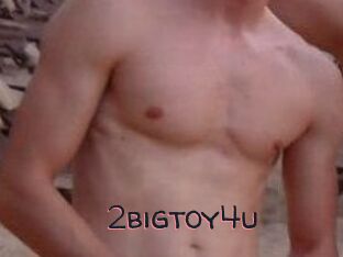 2bigtoy4u
