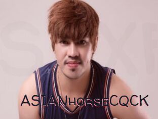 ASIANhorseCQCK