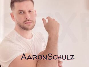 AaronSchulz