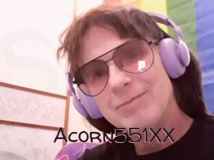 Acorn551XX
