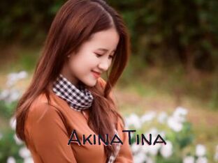 AkinaTina