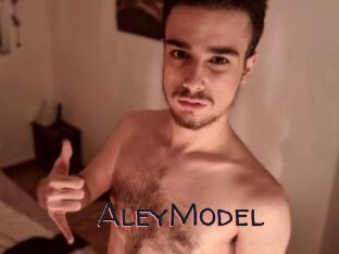 AleyModel