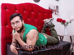 AndreyDuboiis