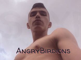 AngryBirdions