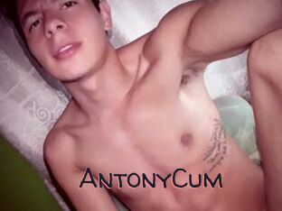 AntonyCum