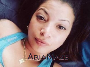 Aria_Maze