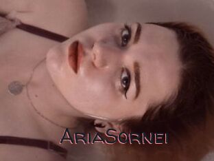 AriaSornei