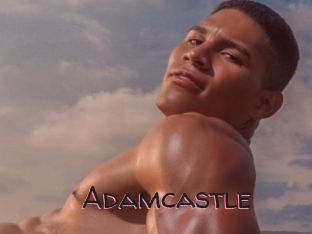 Adamcastle