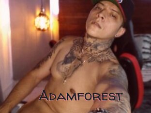 Adamforest
