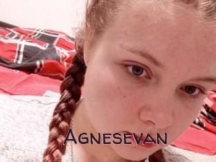 Agnesevan