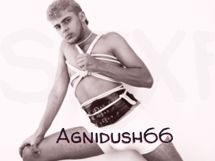 Agnidush66