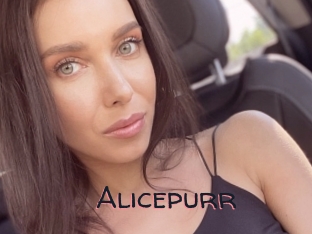 Alicepurr