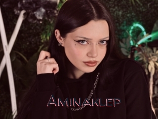 Aminaklep
