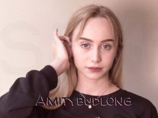 Amitybudlong