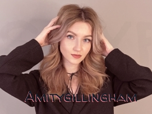 Amitygillingham