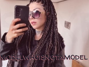 Amodelwhoisnotamodel