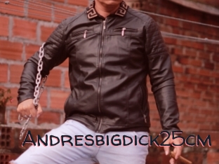 Andresbigdick25cm