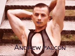 Andrew_falcon