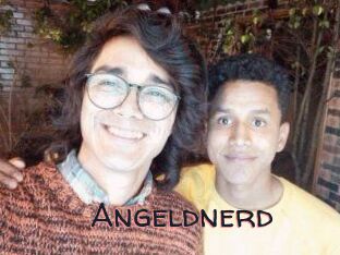 Angeldnerd