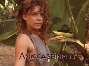 Aniccaspinelli