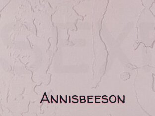 Annisbeeson