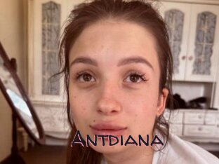 Antdiana