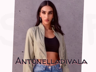 Antonelladivala