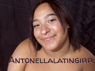 Antonellalatingirr