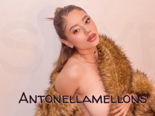 Antonellamellons