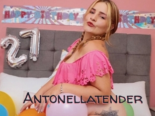 Antonellatender