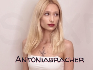 Antoniabracher