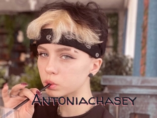 Antoniachasey