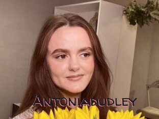 Antoniadudley