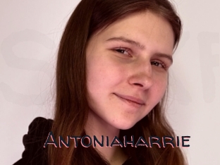 Antoniaharrie