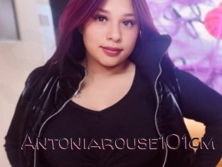 Antoniarouse101cm