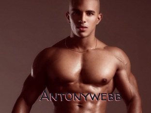 Antonywebb