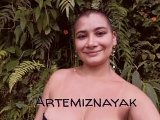 Artemiznayak