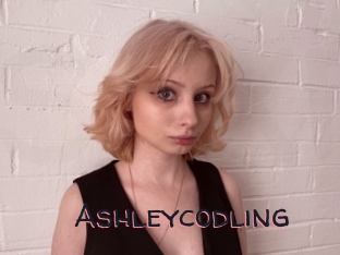 Ashleycodling
