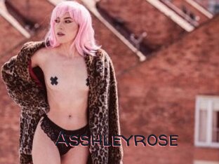 Asshleyrose
