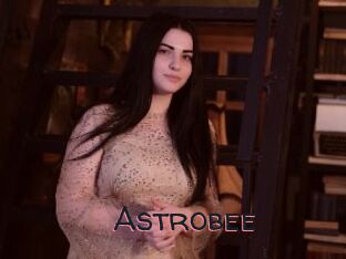 Astrobee