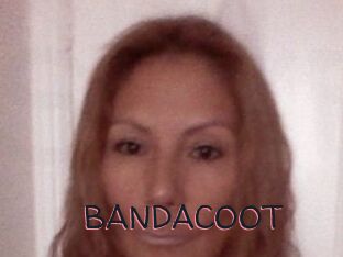 BANDACOOT