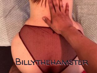 Billythehamster