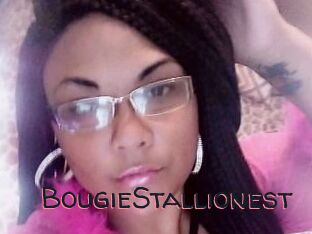 BougieStallionest