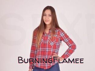 BurningFlamee