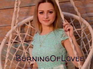 BurningOfLovee