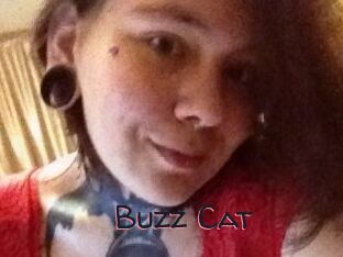 Buzz_Cat