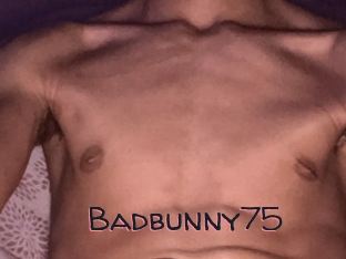 Badbunny75