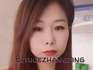 Bericezhangjing