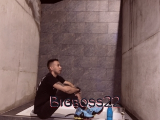 Bigboss22
