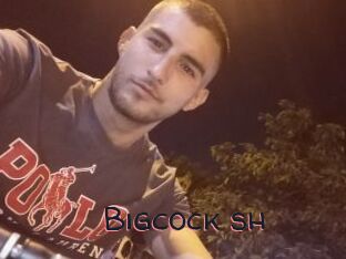 Bigcock_sh